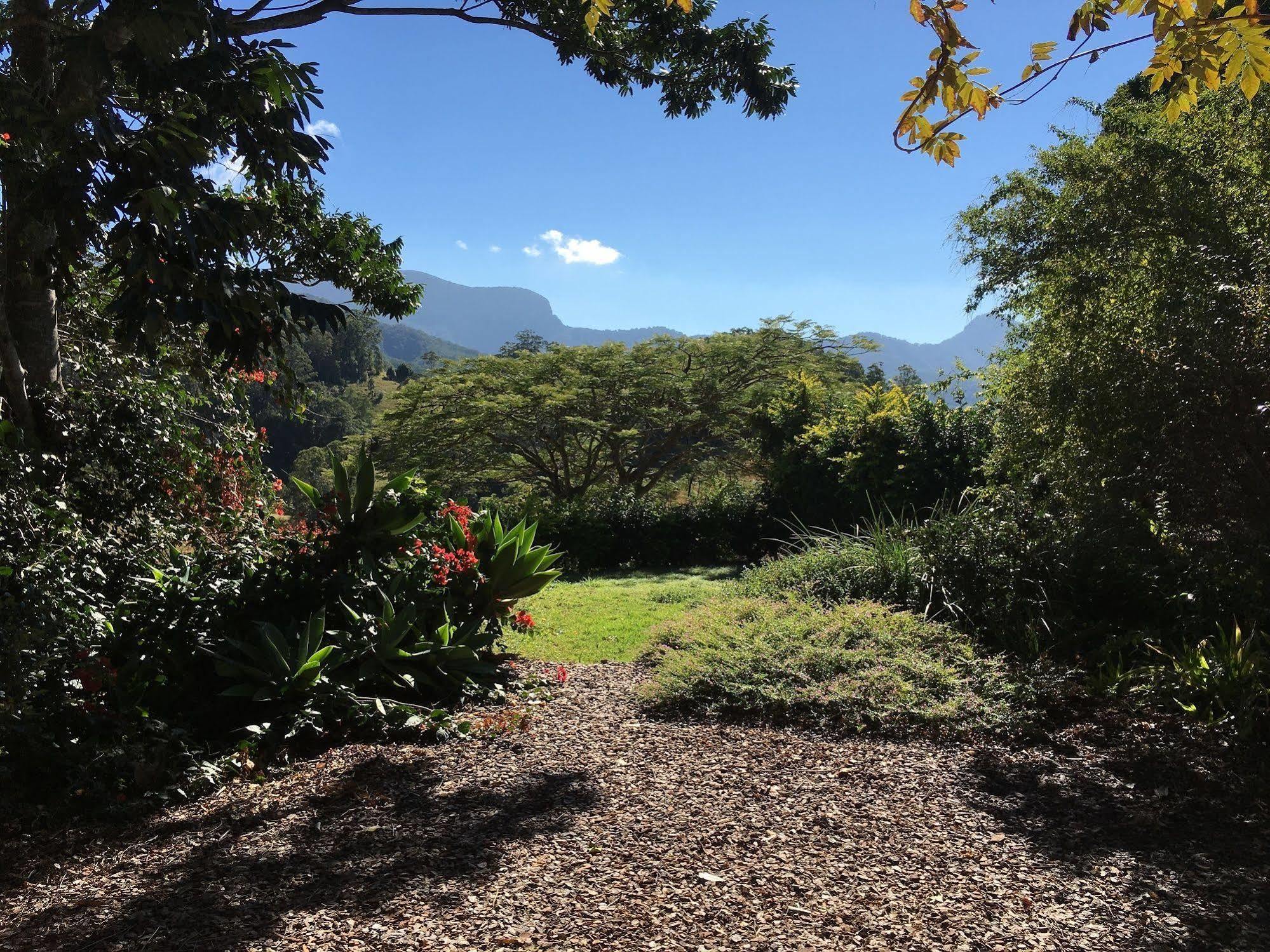Bed and Breakfast Hillcrest Mountain View Retreat Crystal Creek Exterior foto